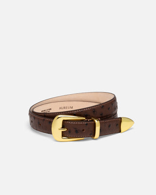 No. 16 Belt